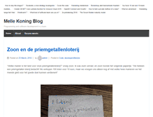 Tablet Screenshot of mellekoning.nl